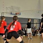 _DSC0416.JPG